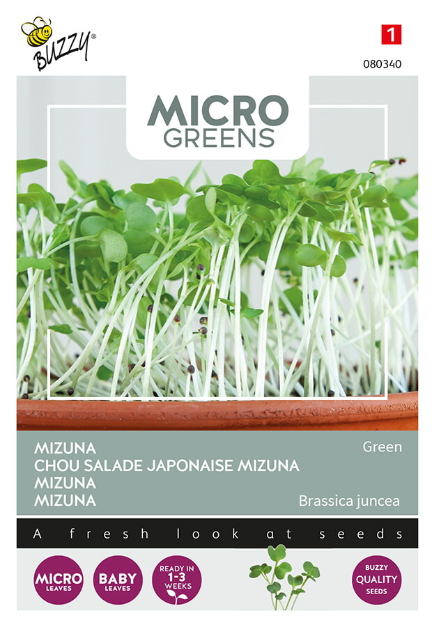 Microgreens Mizuna Green