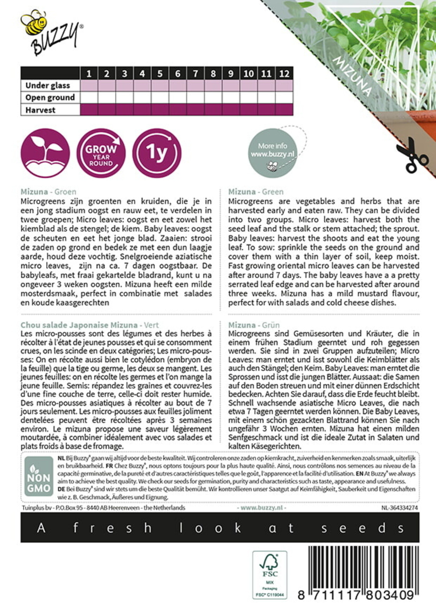 Buzzy Microgreens Mizuna Green