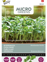 Buzzy Microgreens Boerenkool
