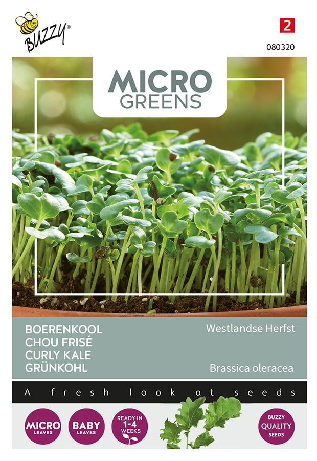 Microgreens Boerenkool , Westlandse Herfst