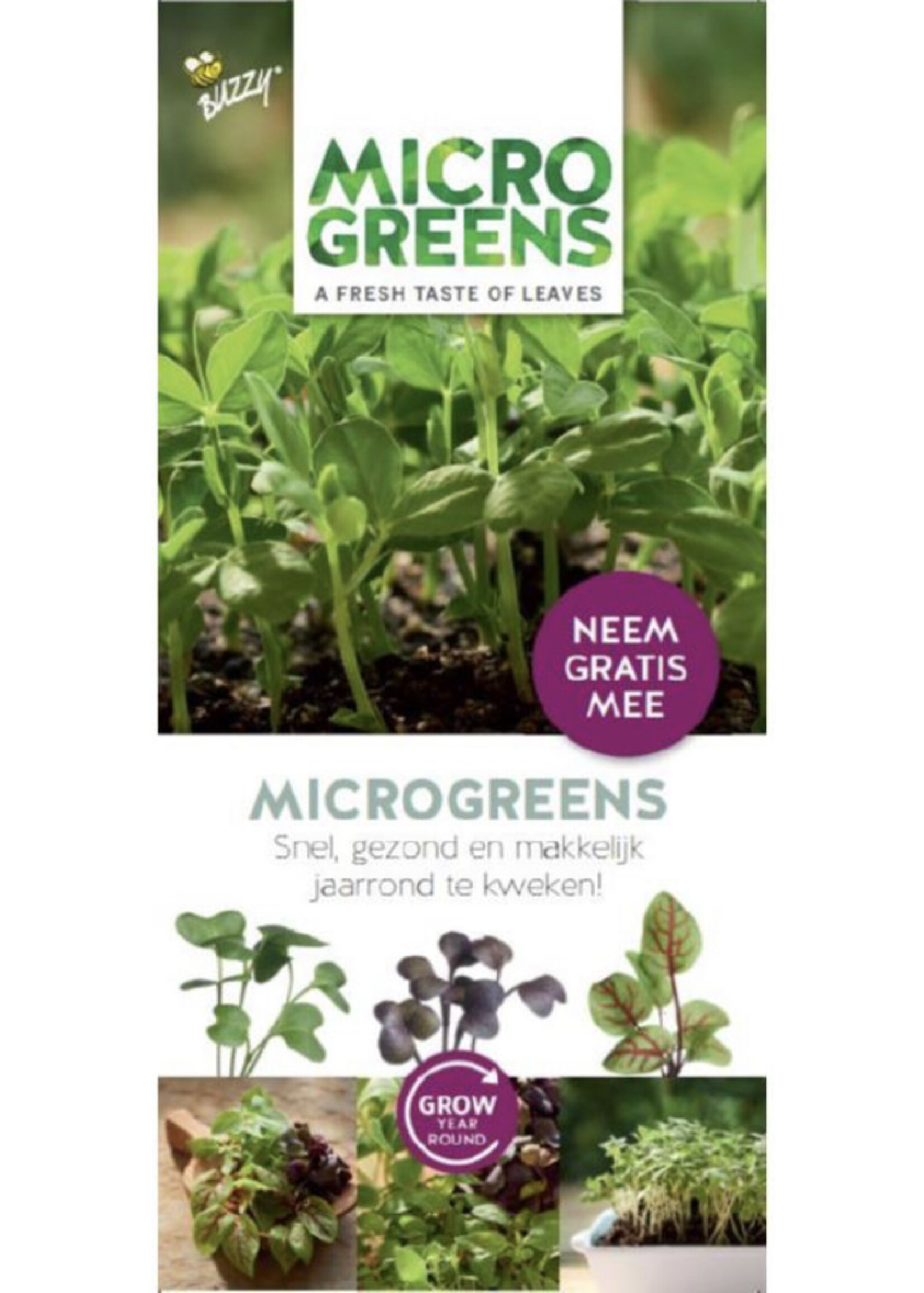 Buzzy Brochure Buzzy Microgreens Ned