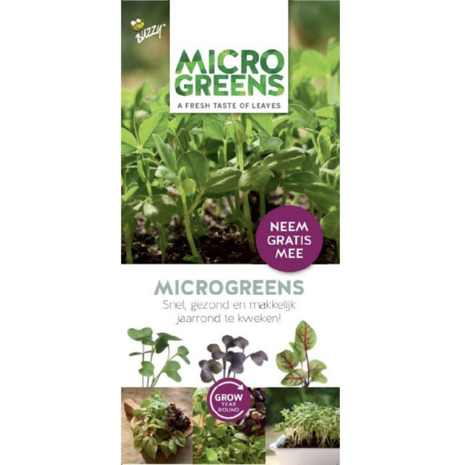 Brochure Buzzy Microgreens Ned
