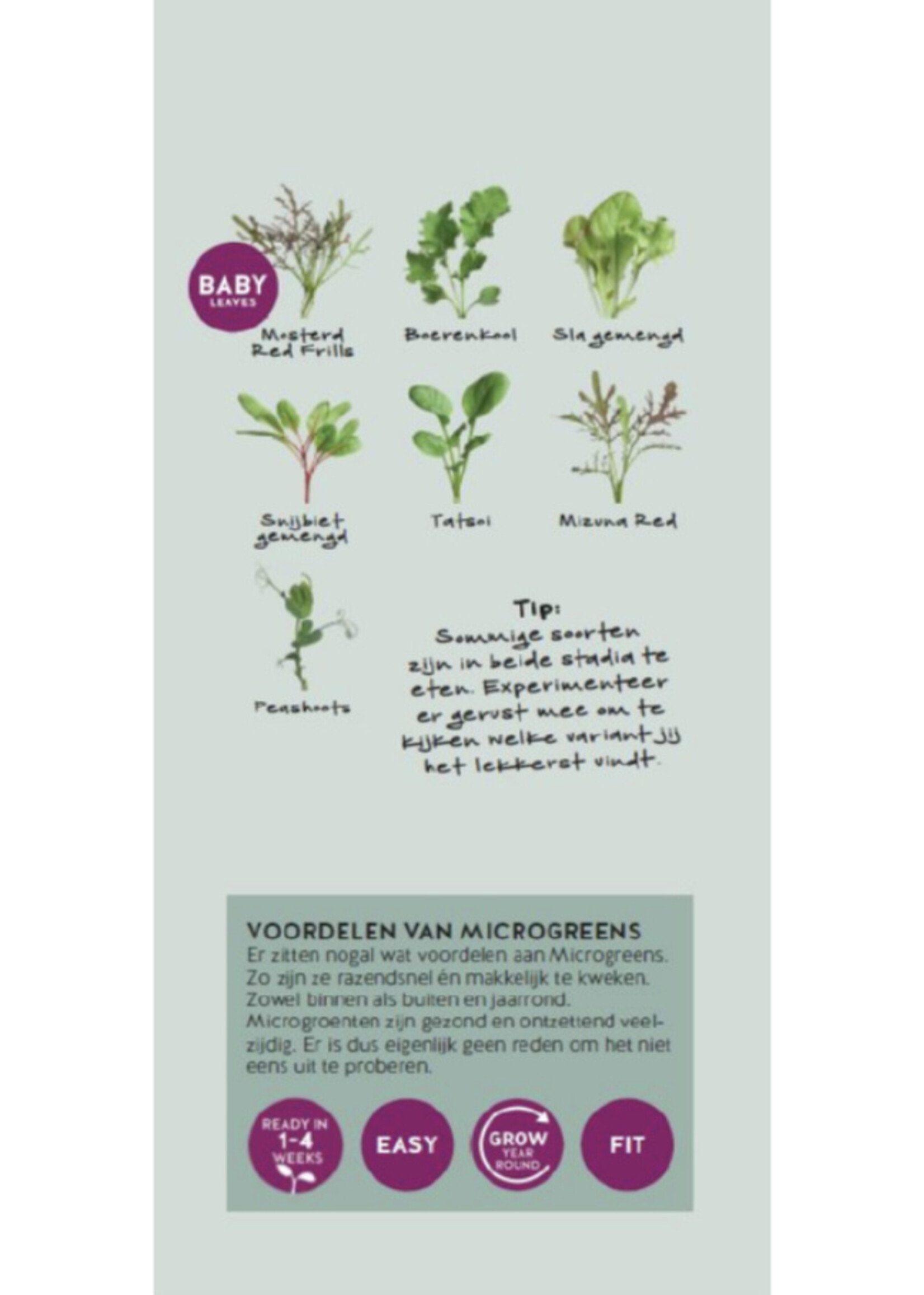 Buzzy Brochure Buzzy Microgreens Ned