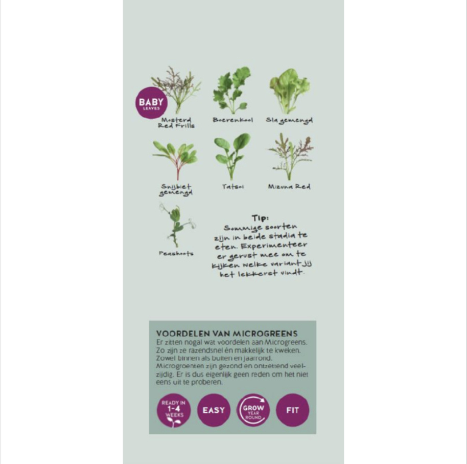 Brochure Buzzy Microgreens Ned