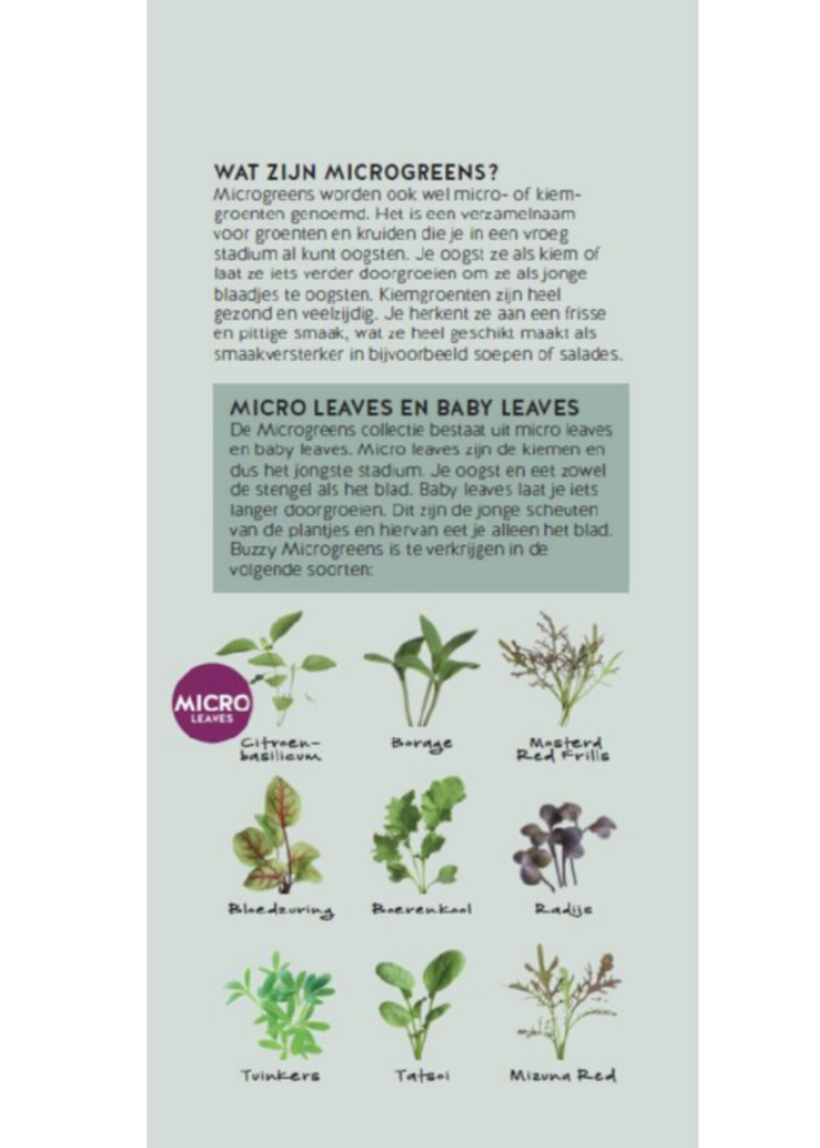 Buzzy Brochure Buzzy Microgreens Ned