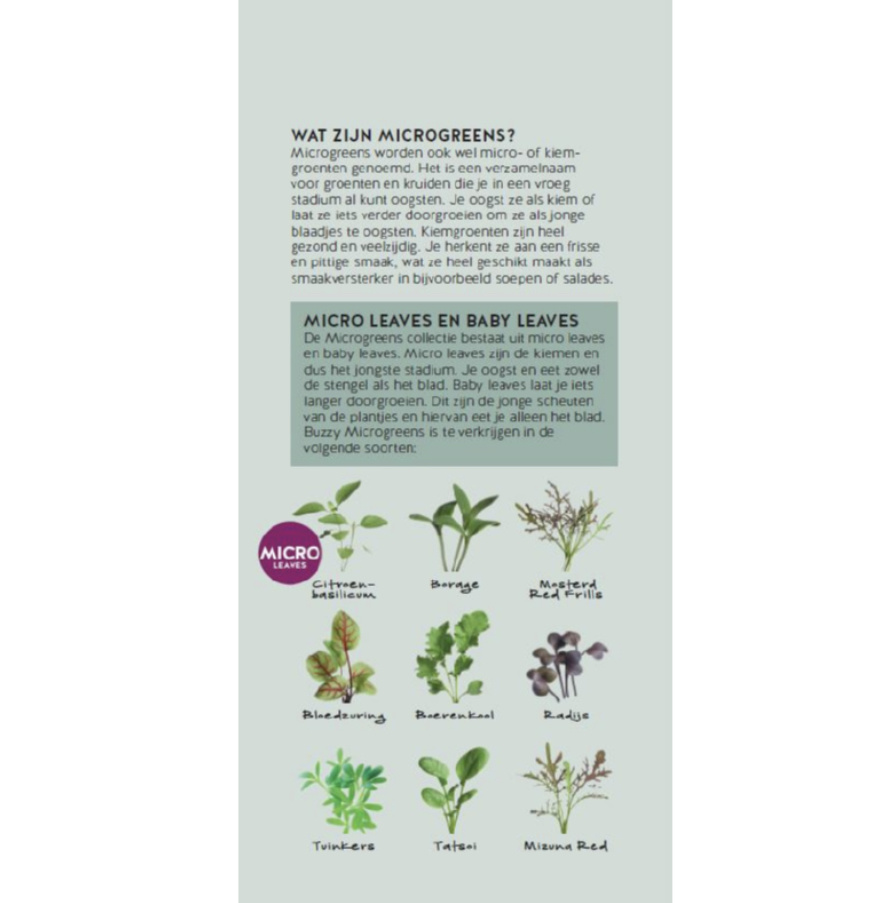 Brochure Buzzy Microgreens Ned