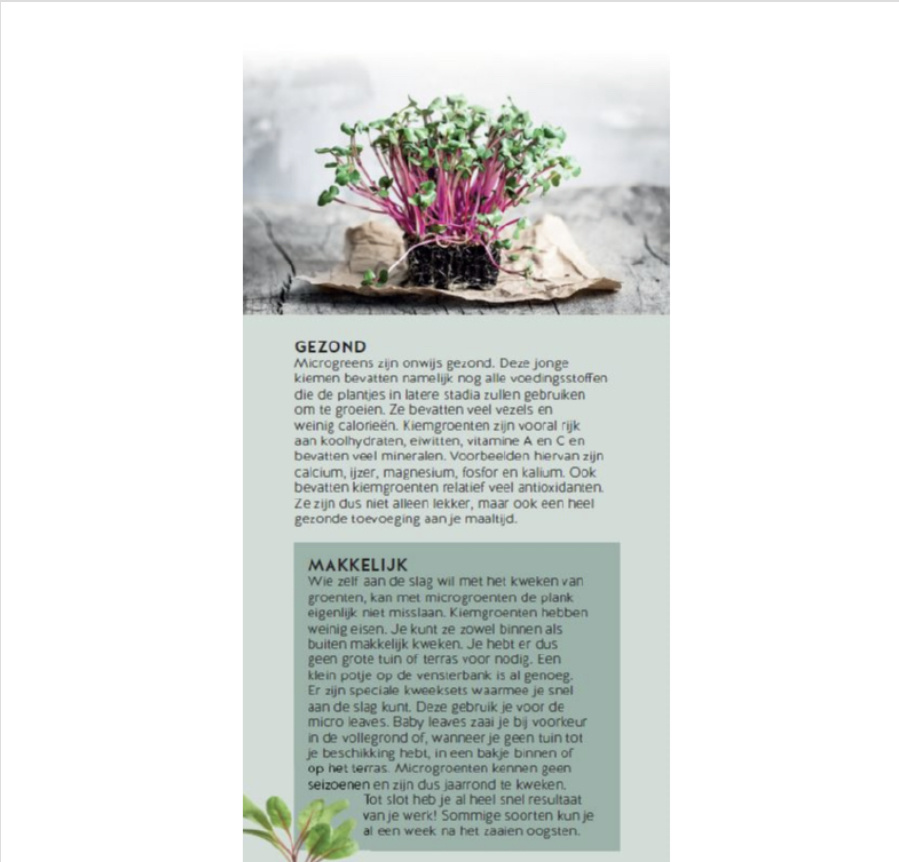 Brochure Buzzy Microgreens Ned