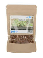 Buzzy Organic  Sprouting Lentils 250g