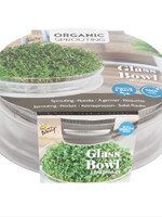 Buzzy Organic Sprouting Glazen Bowl met Rucola