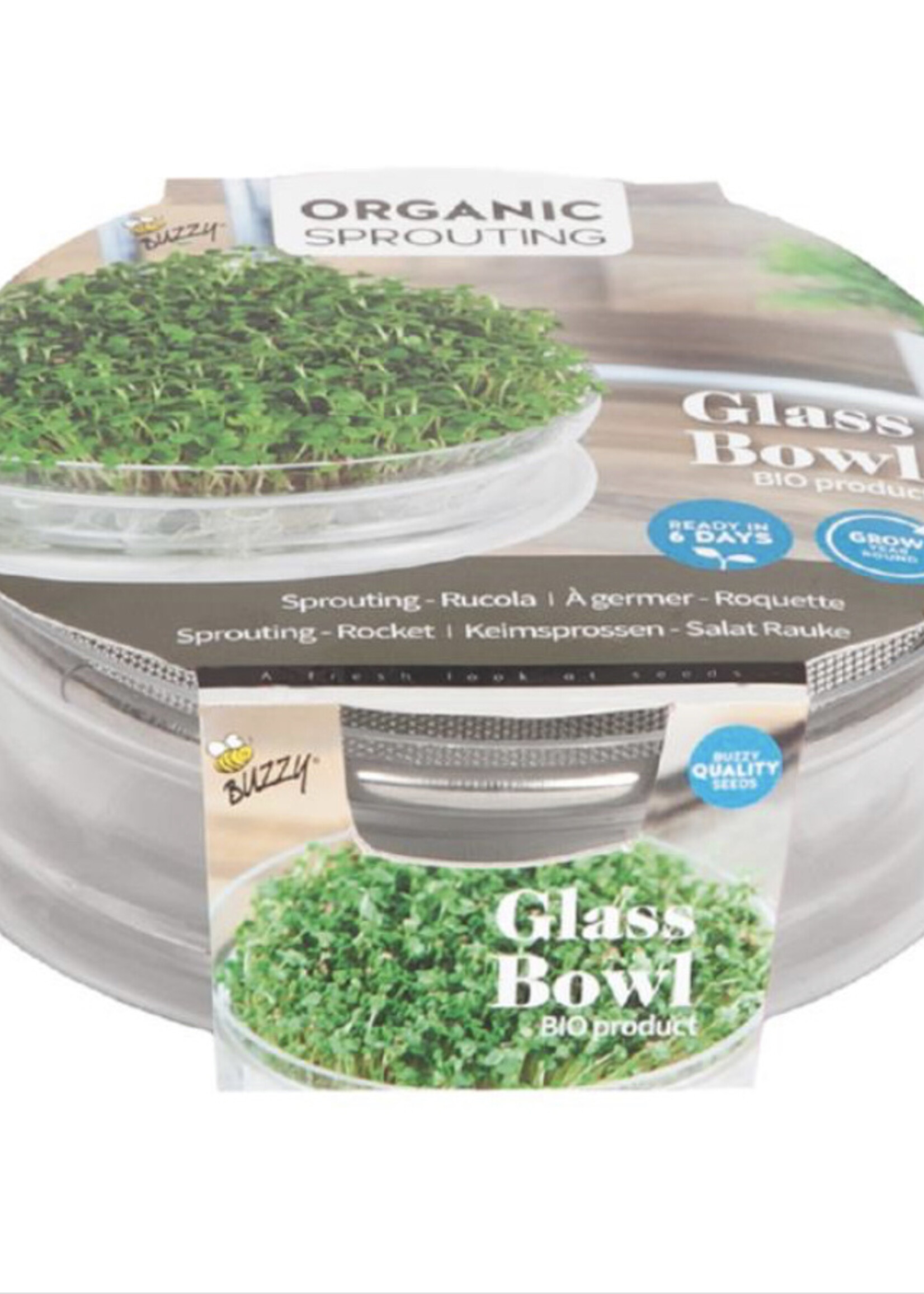Buzzy Organic Sprouting Glass Bowl with Rocket