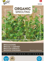Buzzy Organic  Sprouting Broccoli sprouts