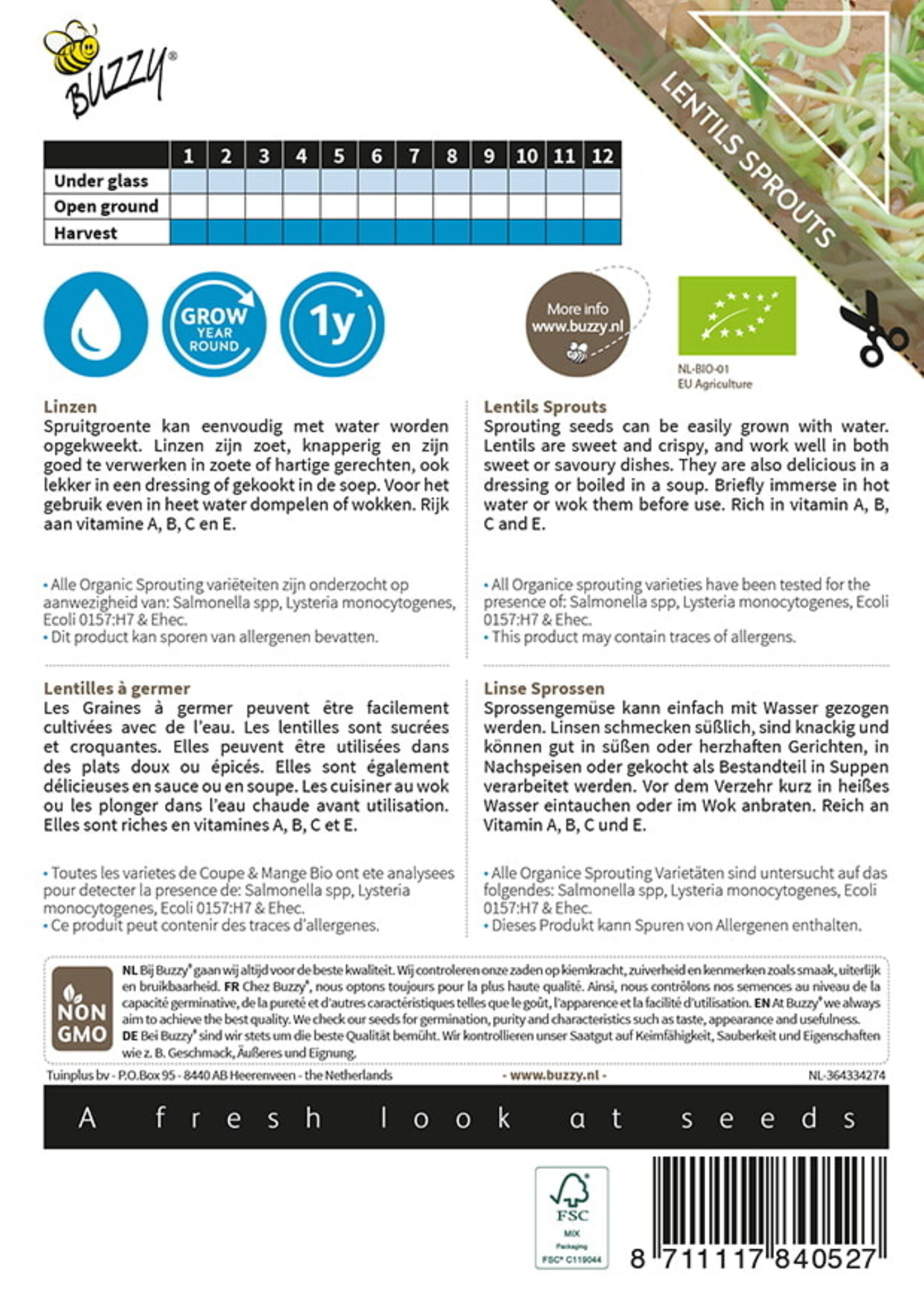 Buzzy Organic Sprouting Lentils