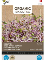Buzzy Organic Sprouting Koolrabi blauwpaars