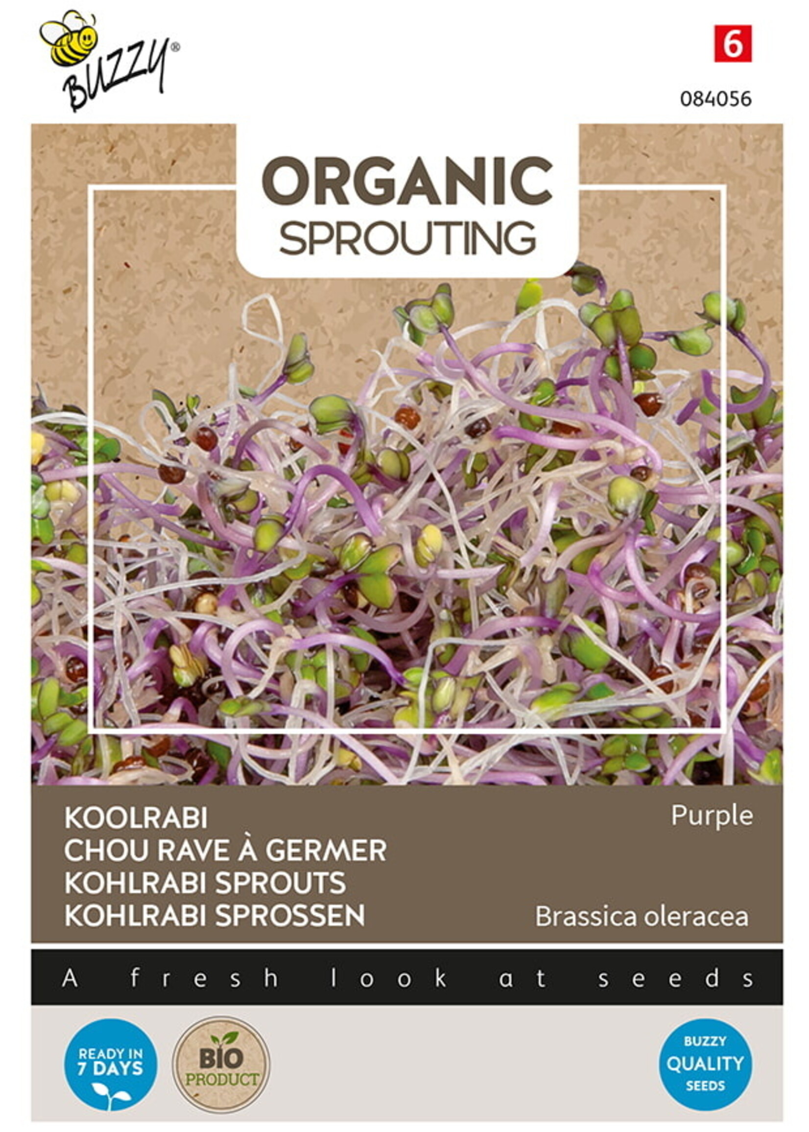 Buzzy Organic Sprouting Kohlrabi