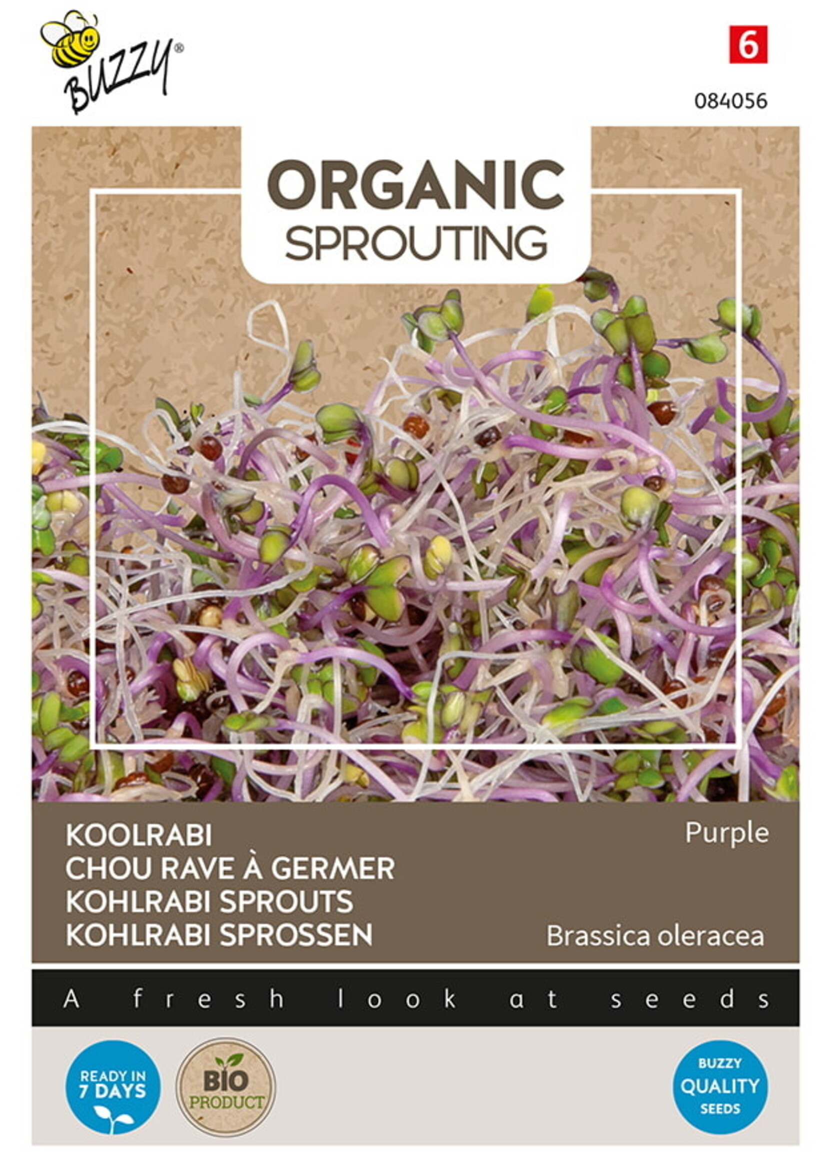 Buzzy Organic Sprouting Koolrabi blauwpaars