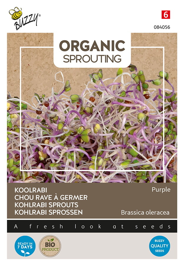 Organic Sprouting Koolrabi blauwpaars