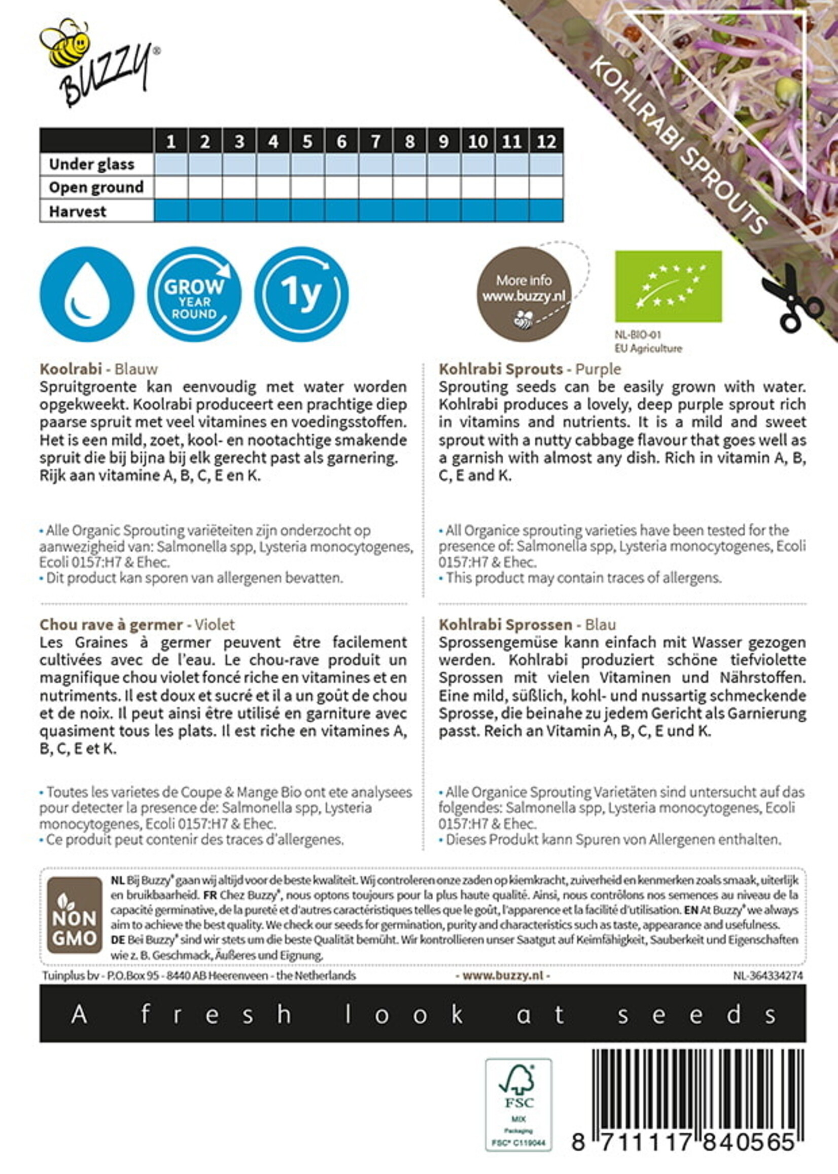 Buzzy Organic Sprouting Kohlrabi