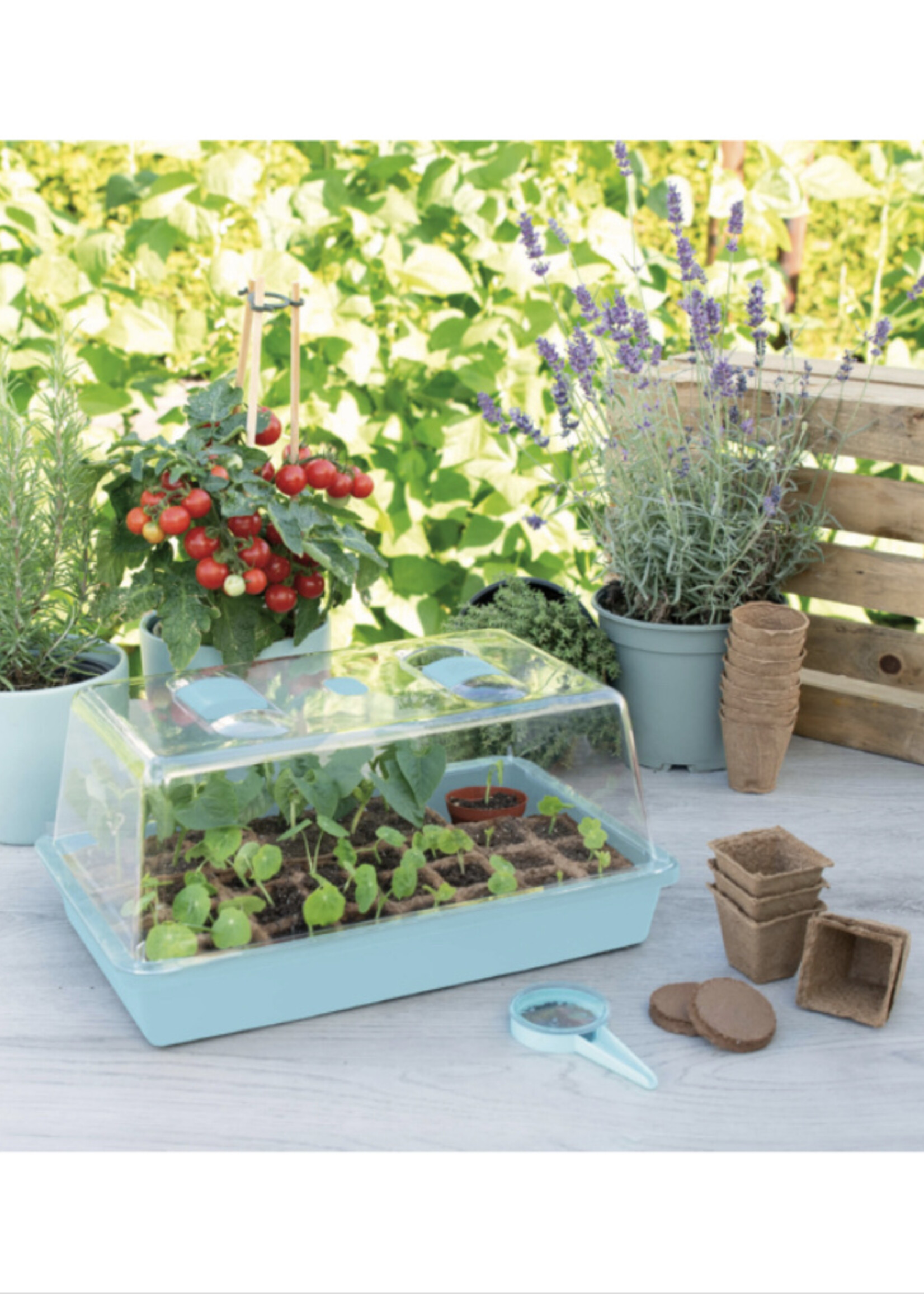 SOGO Greenhouse incl. aeration 38x24cm