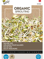 Buzzy Organic Sprouting Salad mix