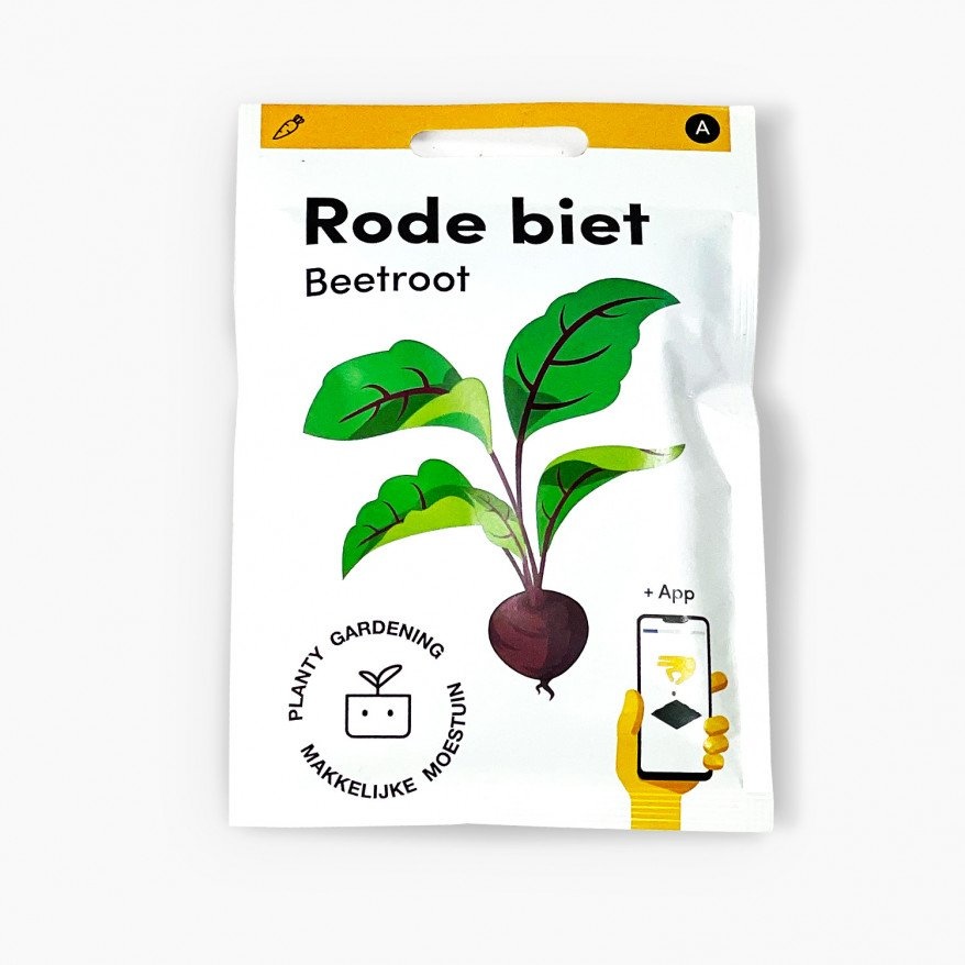 Rode biet