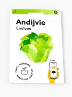 Makkelijke Moestuin Andijvie