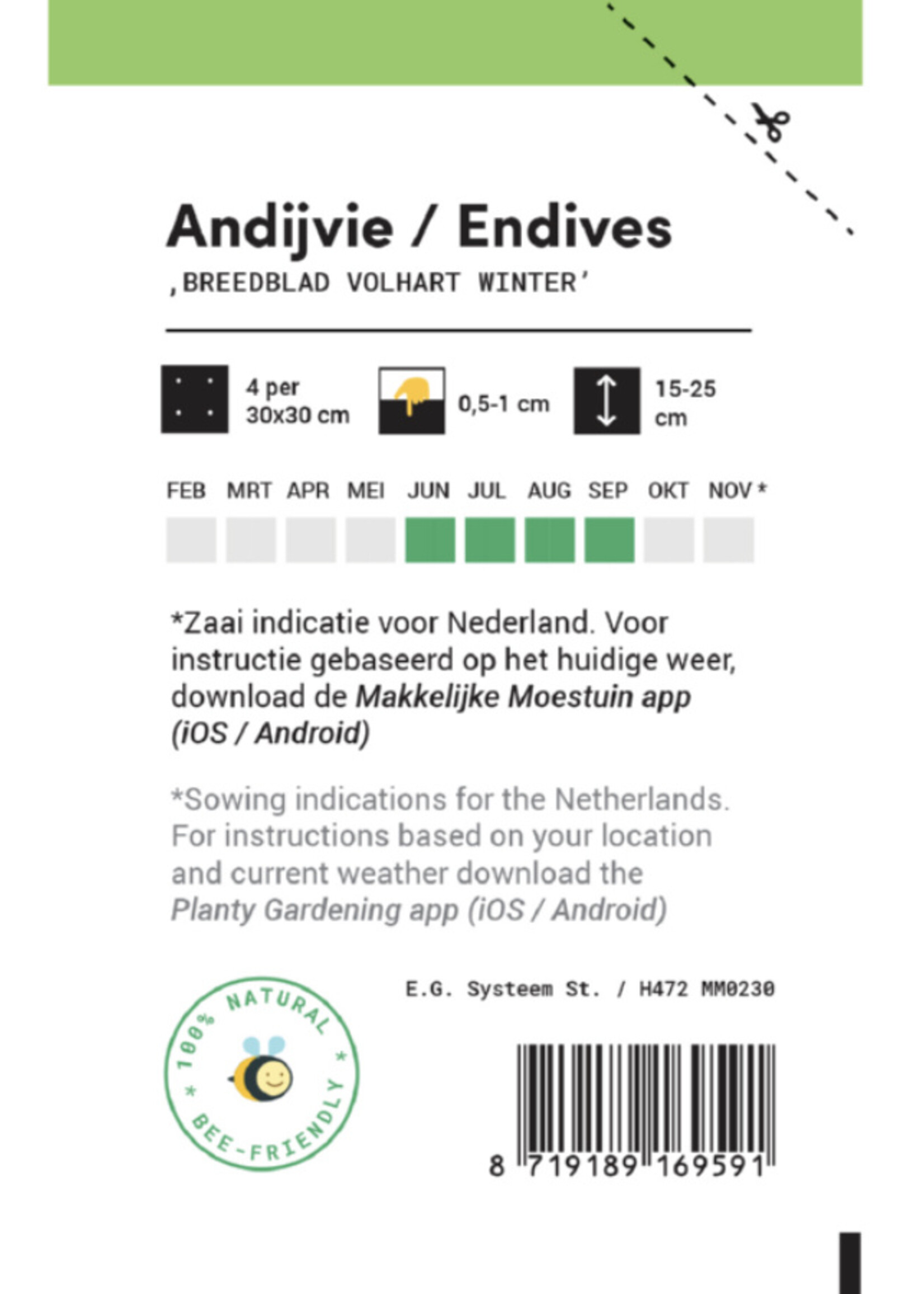 Makkelijke Moestuin Endives