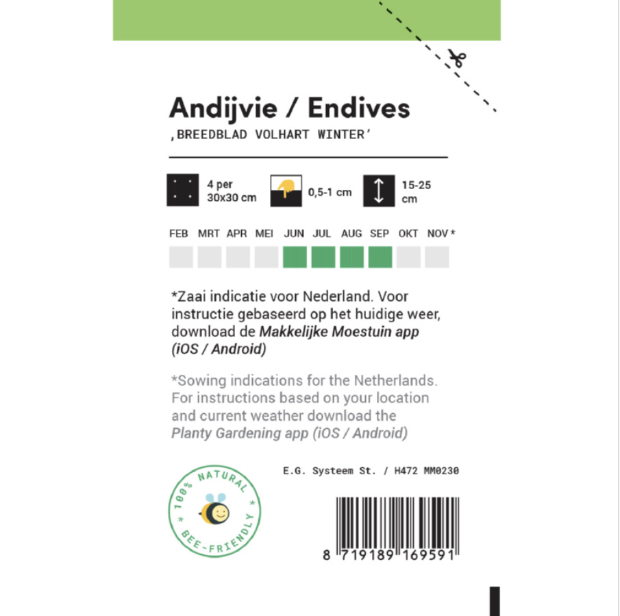 Andijvie