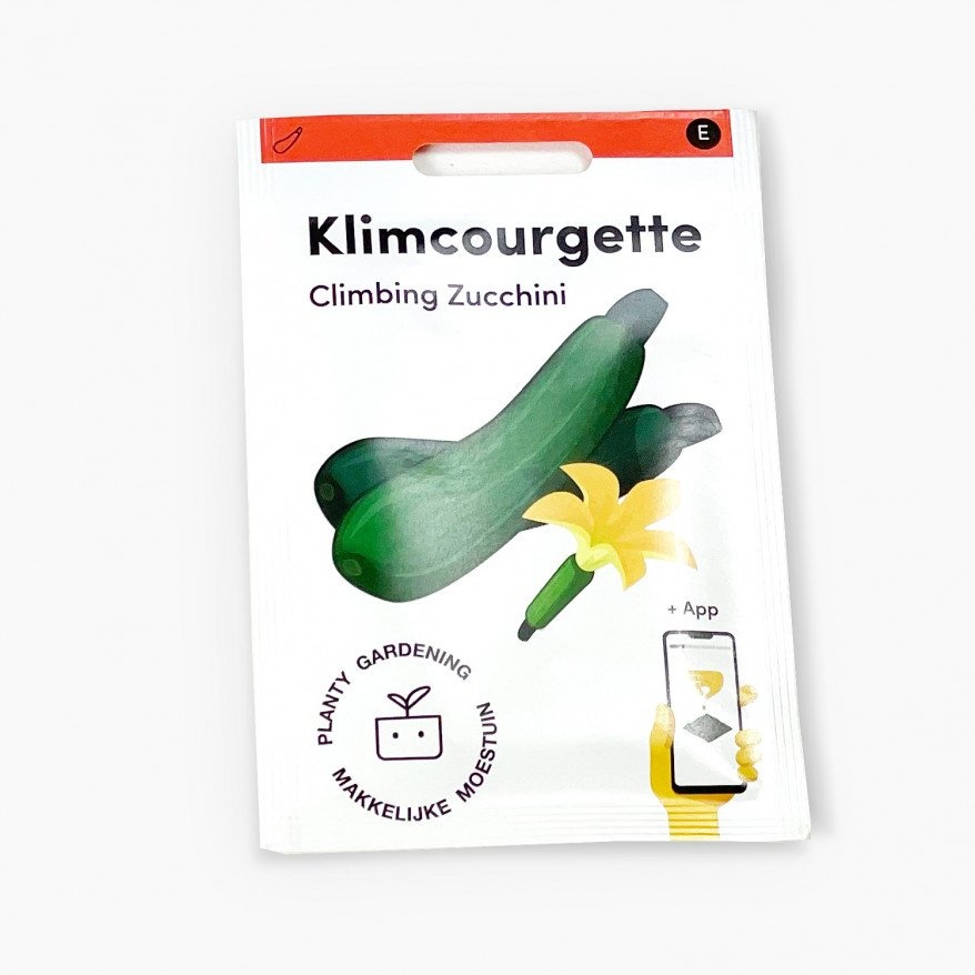 Climbing Zucchini
