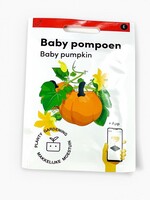 Makkelijke Moestuin Baby pumpkin