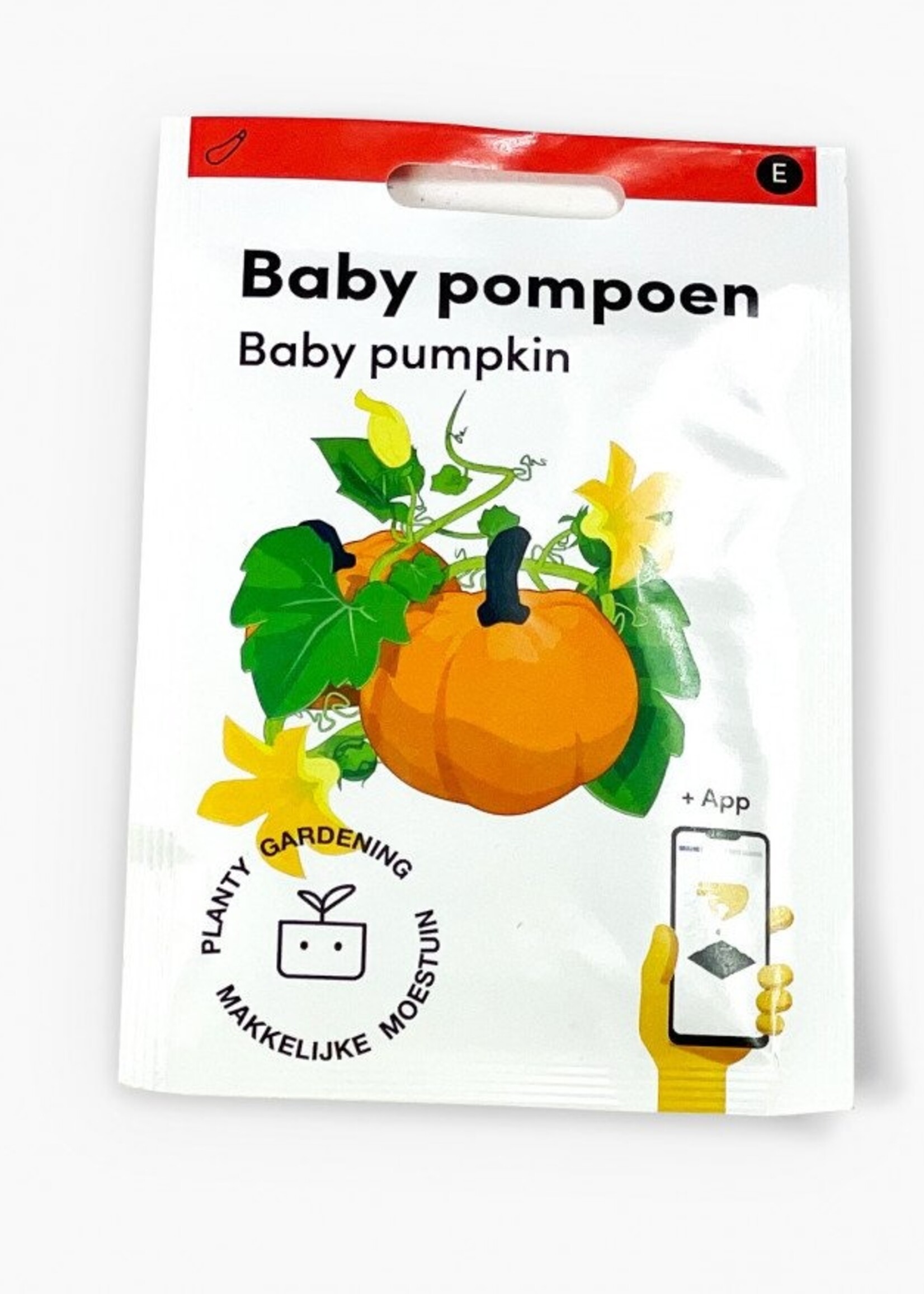 Makkelijke Moestuin Baby pumpkin