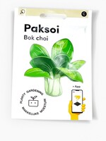 Makkelijke Moestuin Paksoi