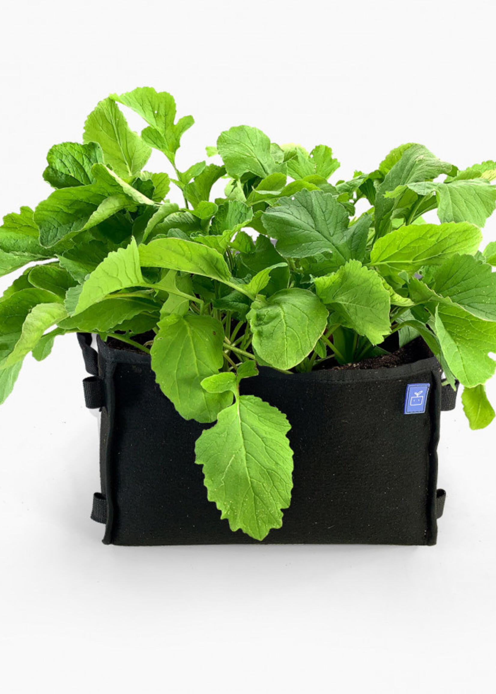 Makkelijke Moestuin MM-mini zwart