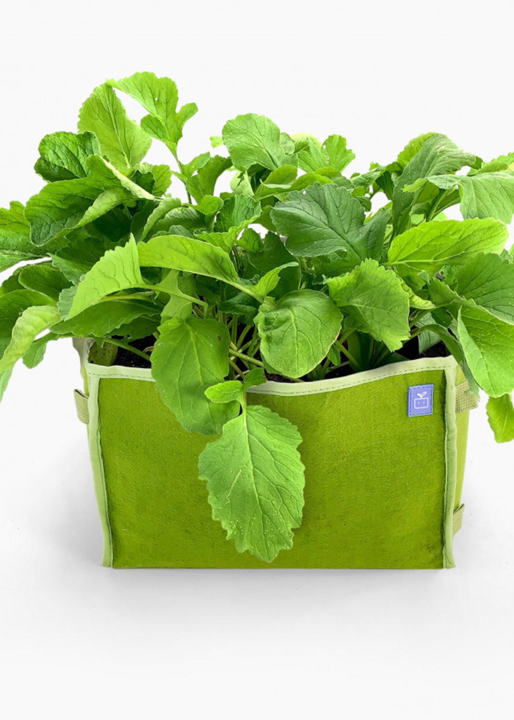 Makkelijke Moestuin MM-mini groen