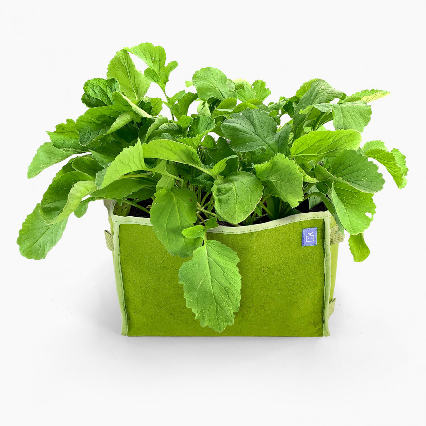 MM-mini groen