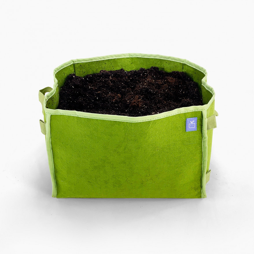 MM-mini green