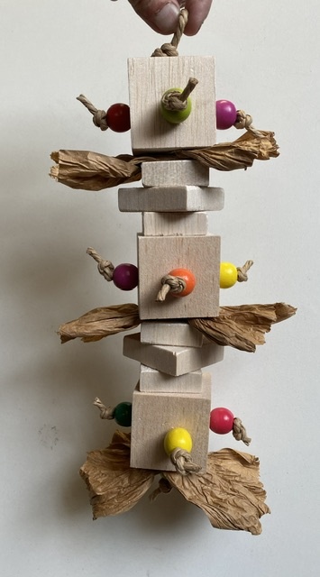 Balsa Dream