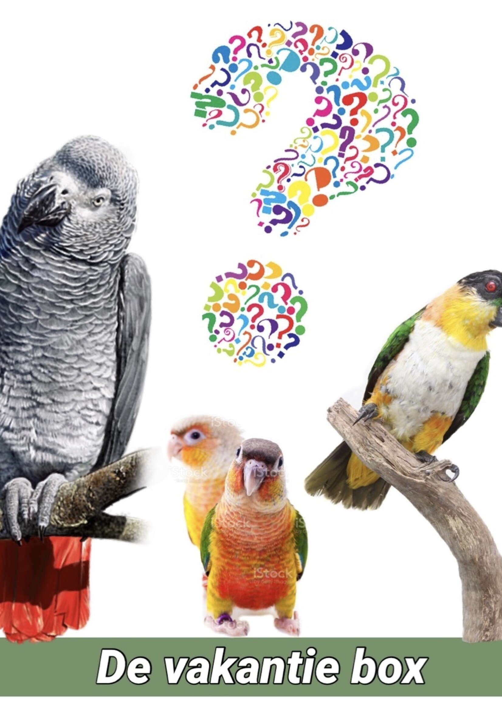 Gaaien-frutsels Holliday box