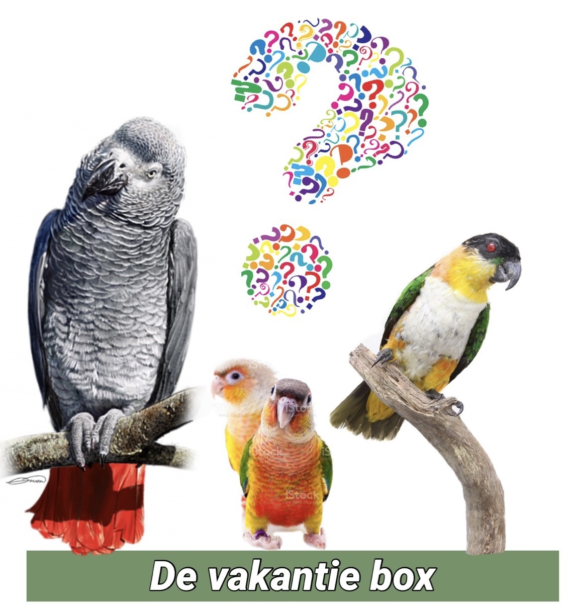 Holliday box