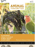 Buzzy Animal Favorites Pluimgierst