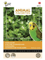 Buzzy Animal Favorites Vogelmuur, siervogels en kippen