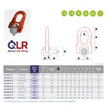 Codipro QL.DSR Quick Lift Kantel / wartelbaar oogbout