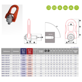 Codipro DSR Kantel / wartelbaar oogbout UNC draad