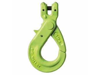 Deltalock Grade 100 gaffelveiligheidshaak 6.7 ton