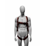 Standaard harnas met 2 bevestigingspunten