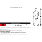 Standaard harnas met 2 bevestigingspunten