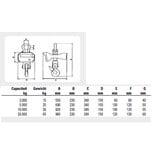 Weeghaak Liftikus 10 ton