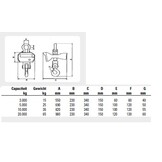 Weeghaak Liftikus 20 ton