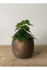 Nepalese pot hout 4