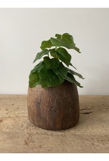 Nepalese pot hout 6