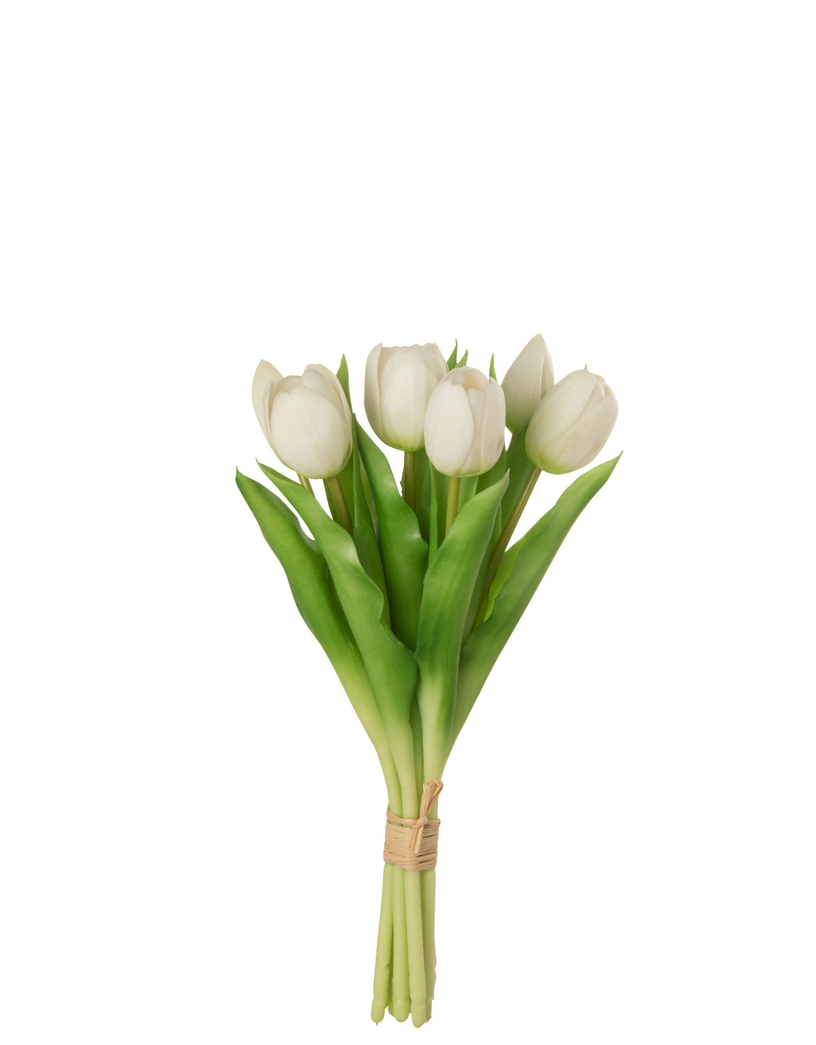 boeket tulpen 7 stuks 31.5 cm wit